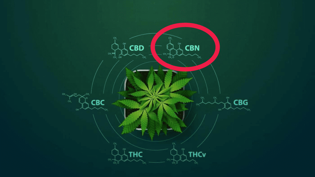 Les biens faits du CBN